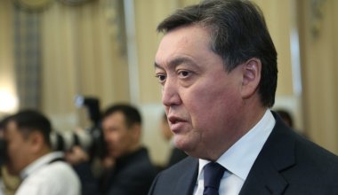 Қазақстандағы Мамин құрған талдамалық кеңес таратылды