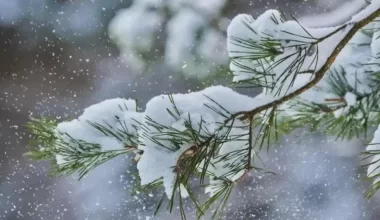 Көктемге әлі ерте: кей өңірде -19°C дейін күн суиды