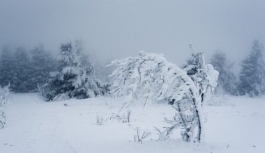 Қыс ызғары қайтпайды: өңірлерде -22°C дейін күн суып, аяз болады