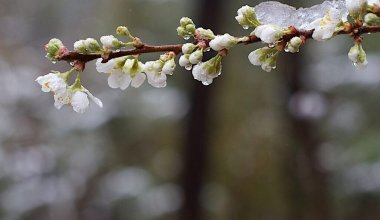 Аяздың беті қайтпайды – синоптиктер ескерту жасады