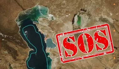 Каспийдің 37%-ы толық жойылып кетуі мүмкін: ғалымдардың қорқынышты болжамдары