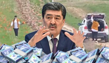 «Әрине»: Нысанбаев 12 шоқ гүл үшін 12 млн теңге айыппұл төлеткен дұрыс деп санайды
