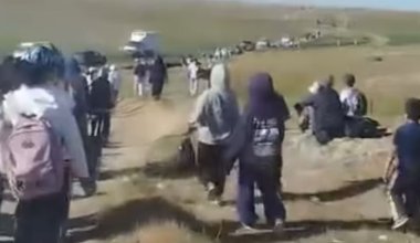 Жамбыл облысындағы фиаско: халық аптап ыстықта қызғалдақ фестиваліне жаяу жетуге мәжбүр болған