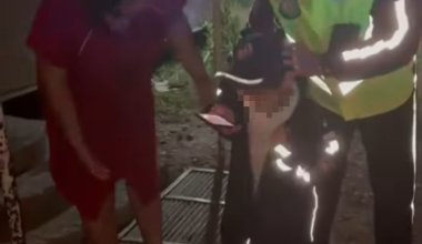 "Менің соткам қайда?". Жоғалған баланың анасының реакциясы желі қолданушыларын ашуландырды