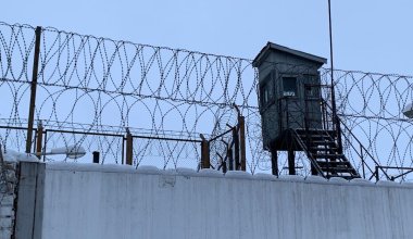 Қазақстандықтар сәбиімен бірге түрмеге қамалған белсендіні босатуды талап етті