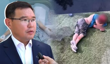 "Неге мен білуім керек?": Шенеунік Жалпақсайдағы оңалту орталығында иттер барынан бейхабар болып шықты