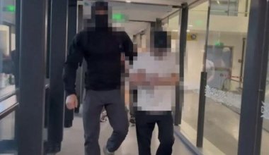 «Жабайы Арман» бандасының тағы бір мүшесі Қазақстанға экстадицияланды