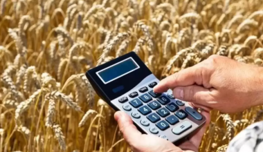 Тоқаев ауыл шаруашылығында шетел инвесторларын тарту жұмысын тездетуді тапсырды