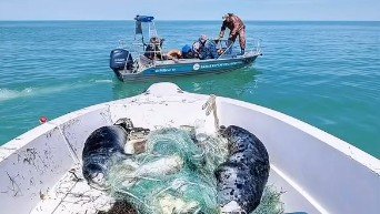 Каспий теңізі туралы фотожоба халықаралық деңгейде мойындалды