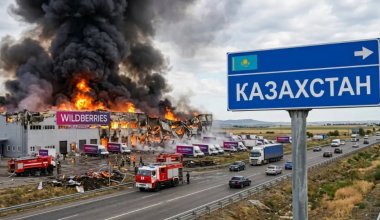 Wildberries-тің Қазақстанға көші: экономикаға серпін бе, әлде саяси тәуекел ме?
