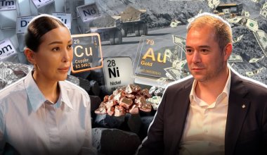 Сирек жер металдары Қазақстанды байыта ала ма