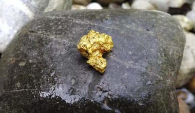 Қазақстанда алтынды заңсыз өндірген тағы бір қылмыстық топ ұсталды