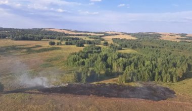 Қазақстанда бір тәулікте үш орман өрті шықты