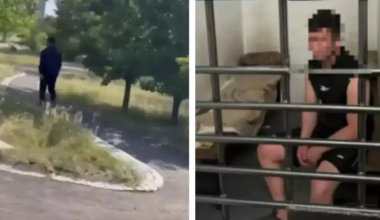 Астанада бойжеткенге жасалған шабуыл бойынша қылмыстық іс қозғалды