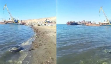 Каспий теңізінің бетінде майлы дақ пайда болды: экологтар судан сынама алды
