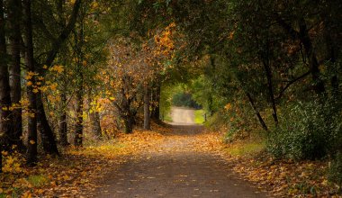 Елімізде күзде күн жылы болады