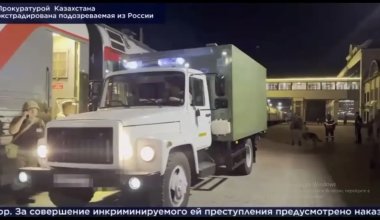 290 млн теңгеден астам салықтан жалтарған Қазақстан азаматы Ресейден экстрадицияланды