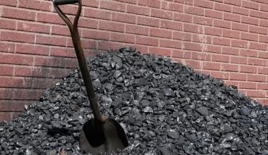 Қыс алдында көмір қымбаттады: тоннасы 23 мың теңгеге жетті