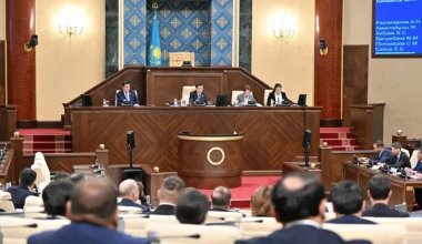 Құрылтай жанынан 50 адамнан тұратын жаңа палата құру ұсынылды: ол немен айналысады