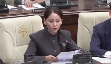 Экс-прокурор Қазақстанның қаруды үшінші елдерге қайта сату мүмкіндігіне қатысты пікір білдірді