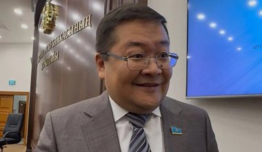 "Әйелімді жұмысқа шығарған жоқпын": Құрылтай депутаттары 1 млн теңгеге дейін жалақы алады