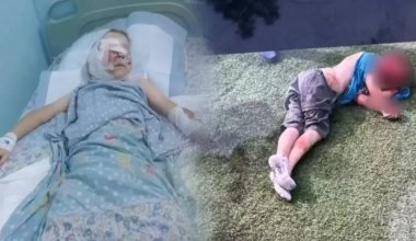 Алматы маңында баланы талап тастаған иттердің иесі босатылды