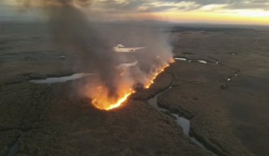 Алакөл қорығында өрт шықты: жалынды сөндіруге Ми-8 тікұшағы жұмылдырылмақ