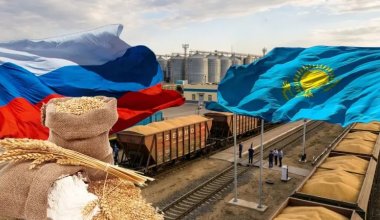 Ресейдегі азық-түлік дағдарысы Қазақстанға қалай әсер етеді?