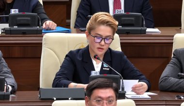 Дана Медеуова медицина қызметкерлеріне кәсіби кепілдік беретін заң жобасын ұсынбақ