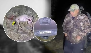 «Аман қалғаныма шүкір»: браконьерлер өлтіре жаздаған қорықшы неге БАҚ-қа жүгінді?