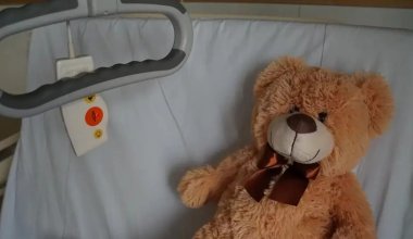 Маңғыстауда балықтан уланып көз жұмған баланы дәрігерлер неге құтқара алмады