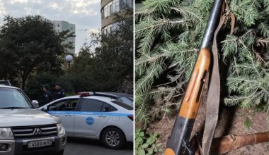 Алматыда қоқыс жәшігінің маңынан мылтық табылды