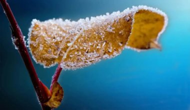 13 қазанда елімізде 6 градусқа дейін аяз болады