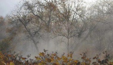 11 градусқа дейін аяз: елдің бірнеше өңірінде күн күрт суытады