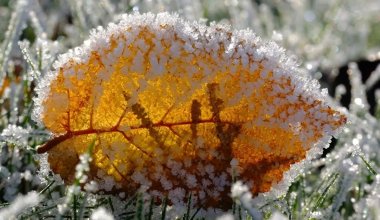 Қазақстанда түнде ауа температурасы -11 градусқа дейін төмендейді