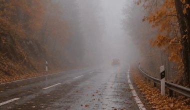 Қарашада елімізде күн райы қандай болады