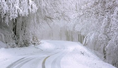 Жүргізушілерге қыста тасжолда төнетін қауіптер ескертілді