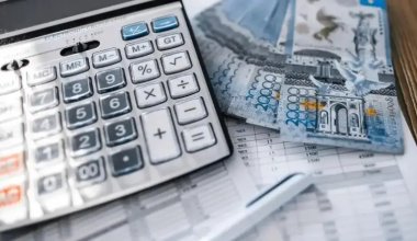 Мемлекеттік көмек шын мұқтаж адамдарға ғана берілуге тиіс – Тоқаев