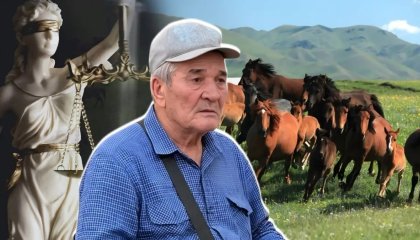 100 жылқыны ұрлады деп сотталған жылқышы сот қателігінің құрбаны болды ма