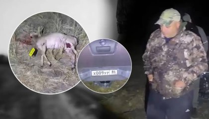 «Аман қалғаныма шүкір»: браконьерлер өлтіре жаздаған қорықшы неге БАҚ-қа жүгінді?