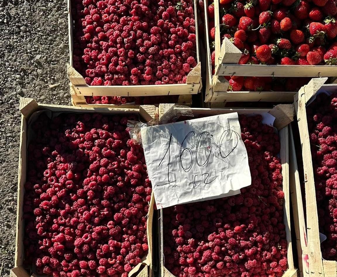 Ішінде, үй сиыр қыз Маған аяғыңның арасын тигізуге рұқсат ет